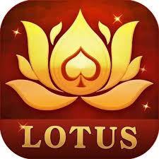 rummy coorbet apk download
